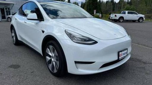 TESLA MODEL Y 2021 5YJYGDEE3MF083165 image